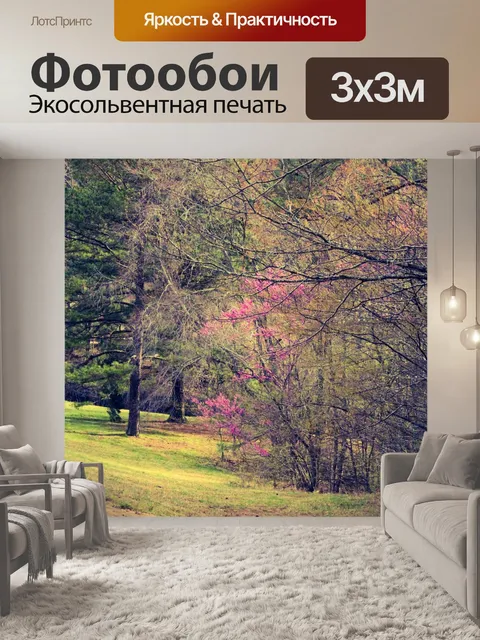 Фотообои Деревья