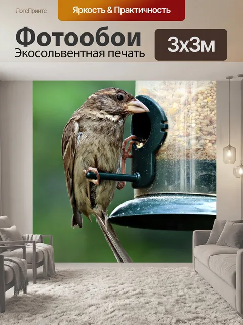 Фотообои Кормление воробья