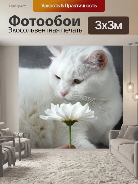 Фотообои Белый