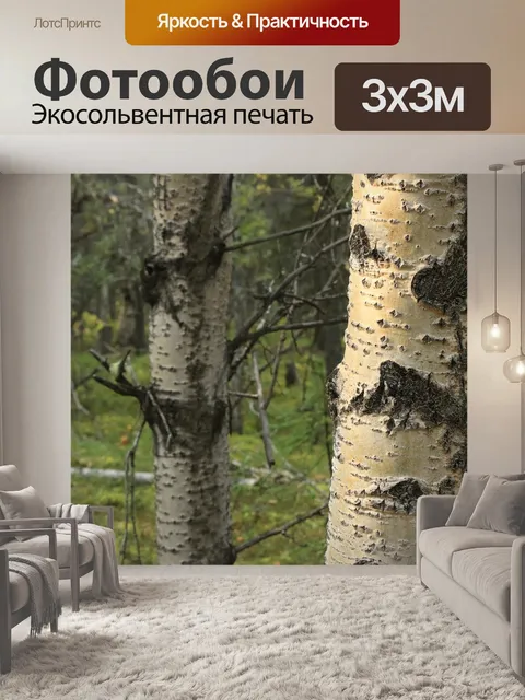 Фотообои Деревья