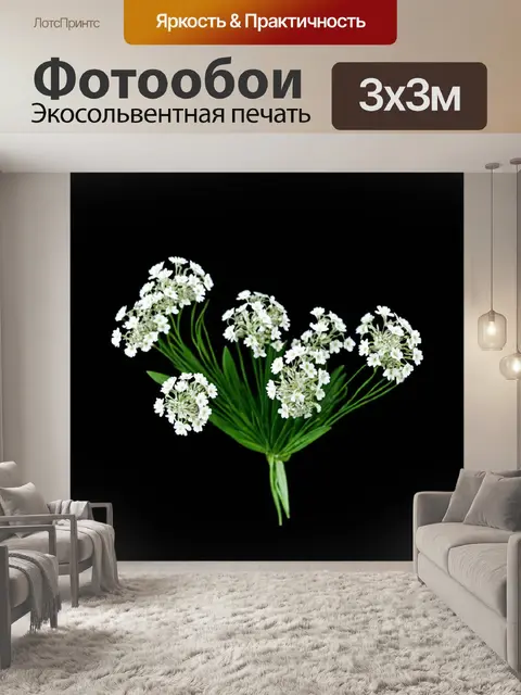 Фотообои цветы в стиле минимализм с небольшими белыми цветами на однотонном черном фоне