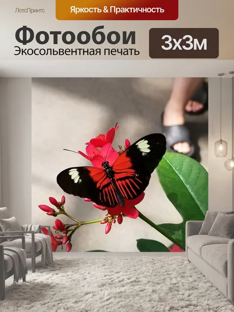 Фотообои Бабочка