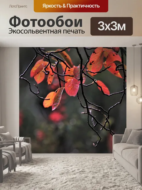 Фотообои Красный