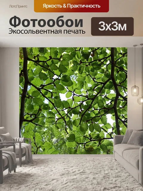 Фотообои Листья