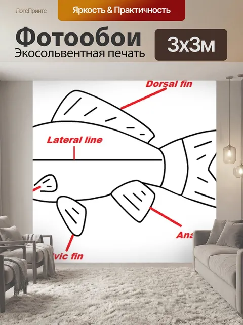 Фотообои Рыбы
