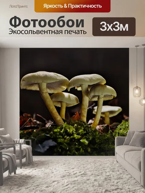 Фотообои Гриб