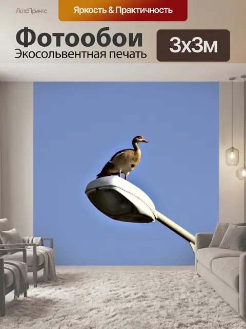 Фотообои Природа