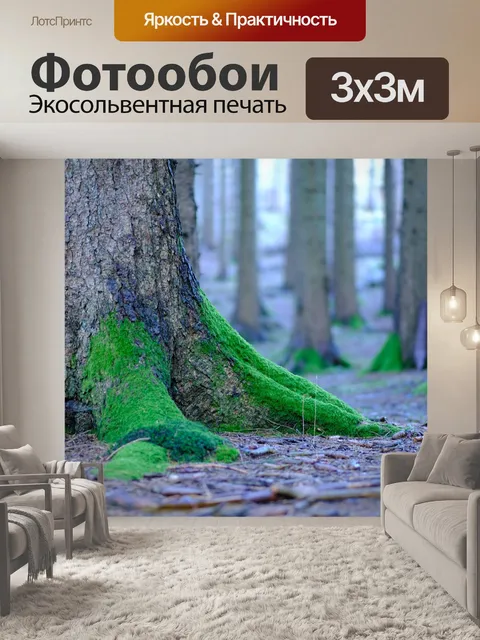 Фотообои Корнеплоды