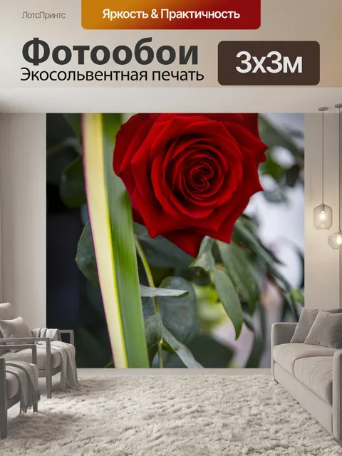 Фотообои Розовые цветы