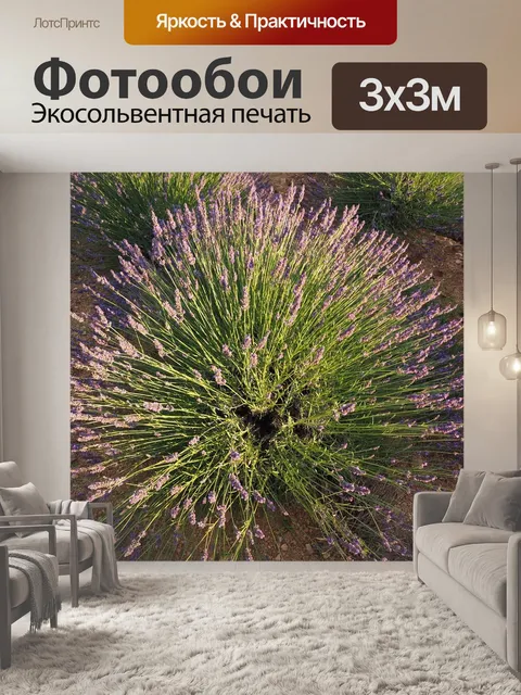 Фотообои Куст лаванды