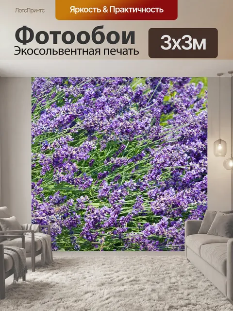 Фотообои Лаванда цветы