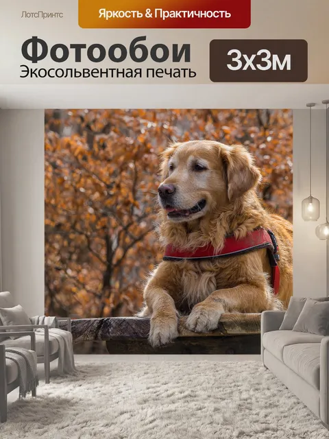 Фотообои Природа