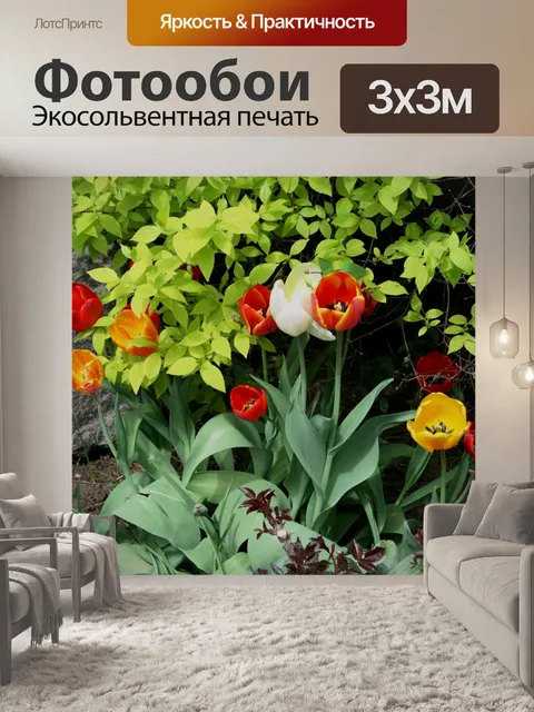Фотообои пружинного устройства