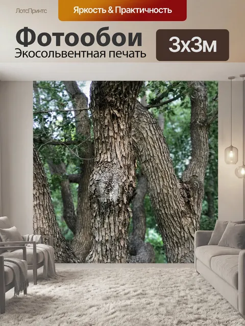 Фотообои Дерево