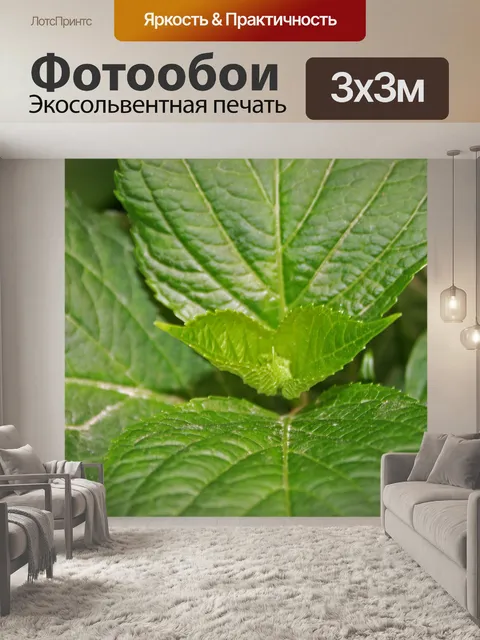 Фотообои гортензия листья