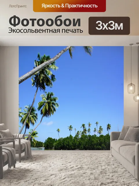 Фотообои Пальмы