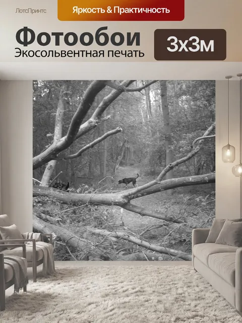 Фотообои Зимняя прогулка