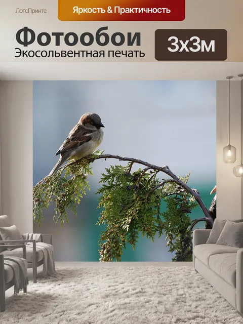 Фотообои Птица