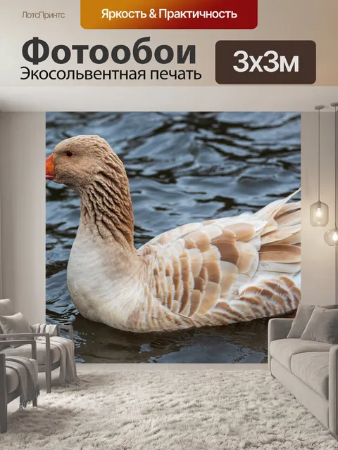 Фотообои Гусь