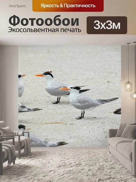 Фотообои Птицы