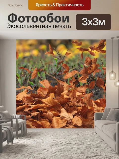 Фотообои Падение