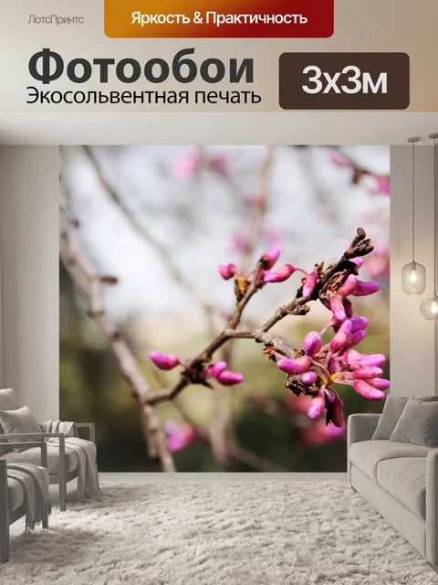 Фотообои Розовая цветная глубина резкости