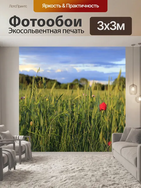 Фотообои Маки