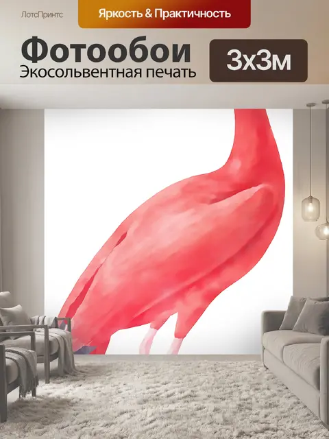 Фотообои Акварельный Рисунок Ибис