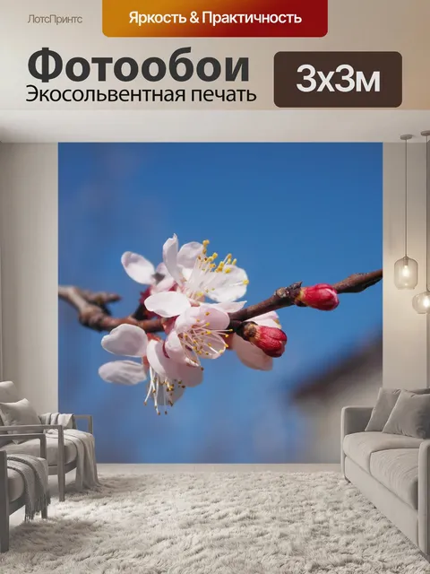 Фотообои Весна