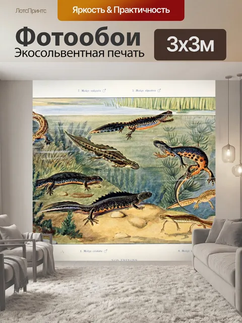 Фотообои Винтажные тритоны старые иллюстрации