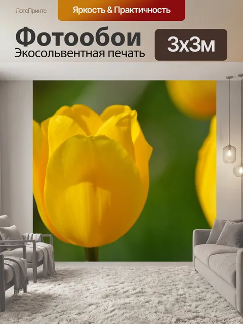 Фотообои Цветок