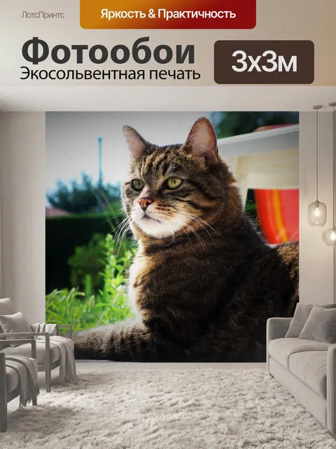 Фотообои Кошка