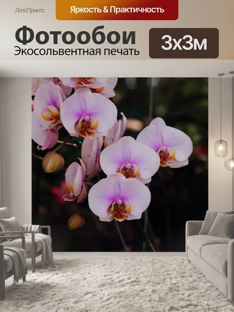 Фотообои Орхидеи