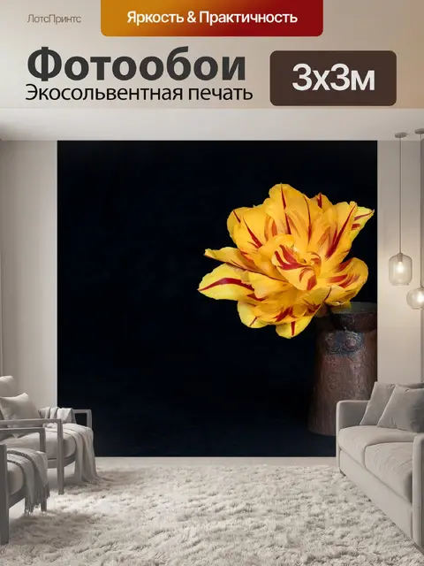 Фотообои Тюльпан
