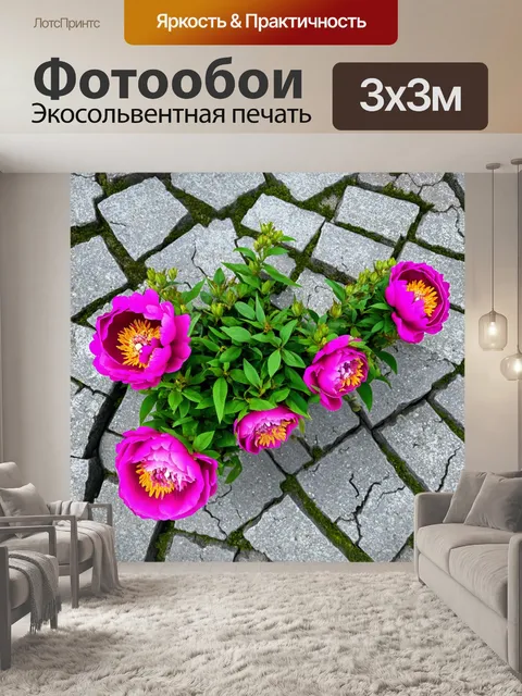 Фотообои пионы, прорастающие сквозь трещины старой мостовой, как символ силы и устойчивости