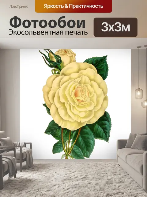 Фотообои Нарисованный цветок розы