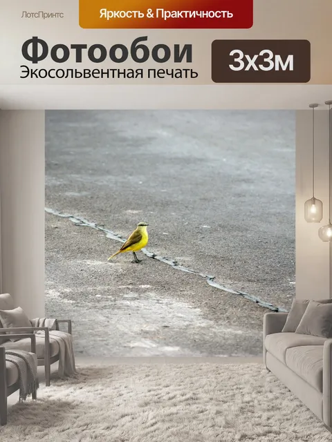 Фотообои Птица