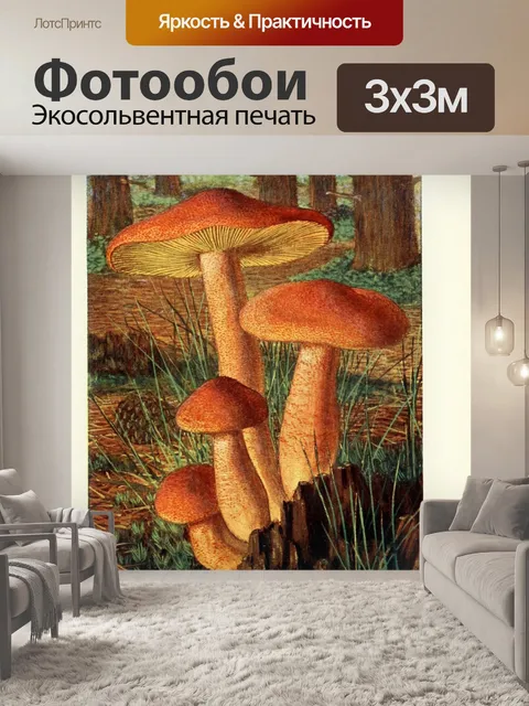 Фотообои Грибы век винтаж старый