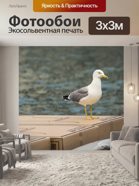 Фотообои Птица