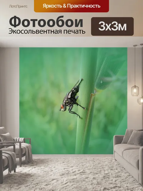 Фотообои Летать