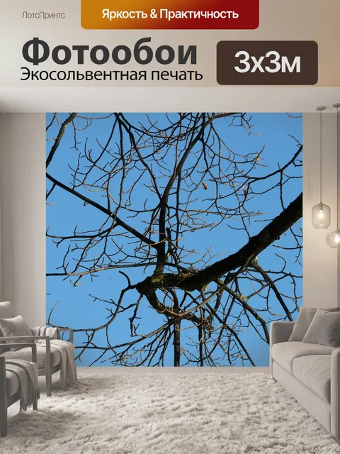 Фотообои Ветви