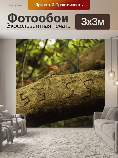 Фотообои анонимные символы на толстой ветке