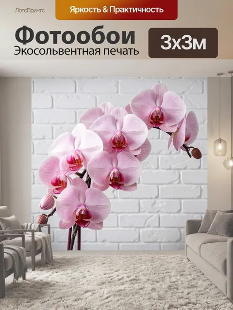 Фотообои Розовые орхидеи на светлом фоне