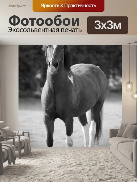 Фотообои лошадь