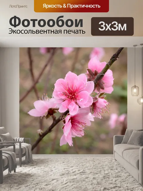 Фотообои Персик