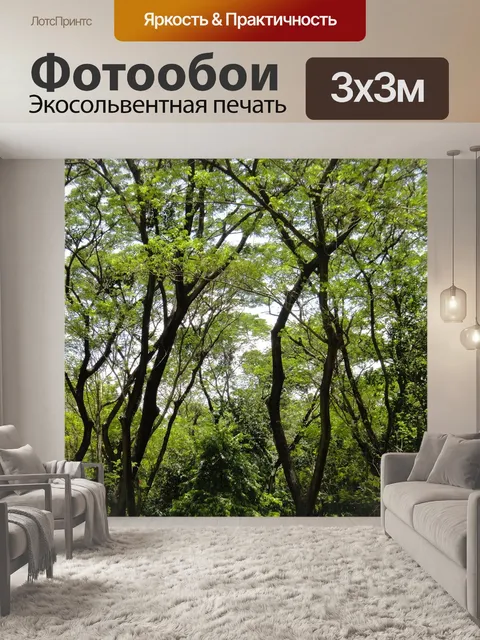 Фотообои Деревья