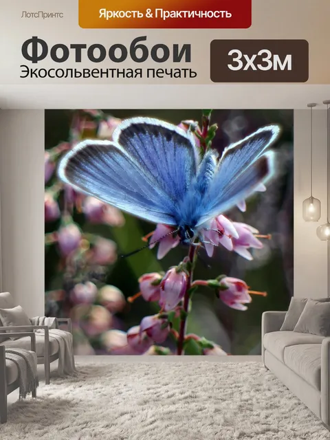 Фотообои Голубоватый