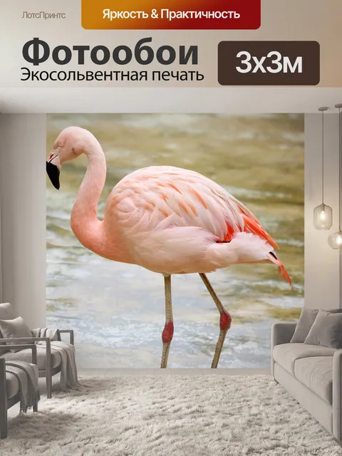 Фотообои Фламинго в озере
