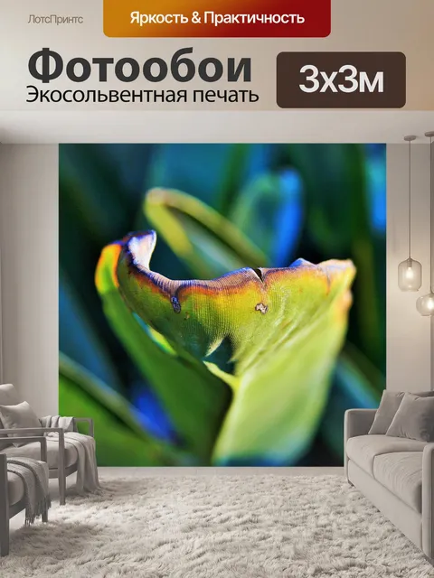 Фотообои Стрелиция лист