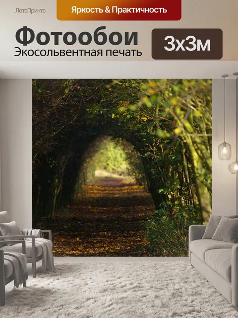 Фотообои Ходить